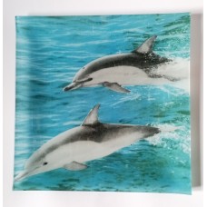 Shallow,square  glass plate with images of dolphins in the sea