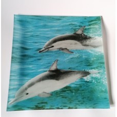 A large, glass plate with images of dolphins at sea